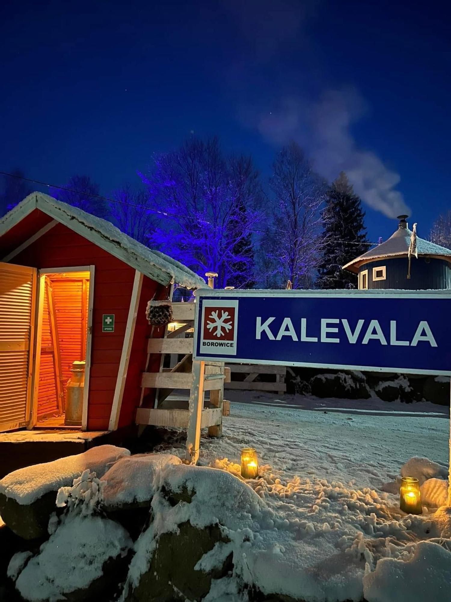 Готель Finska Wioska Kalevala Боровіце Екстер'єр фото